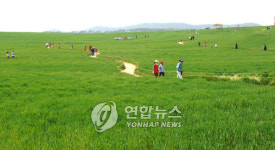 <고창 청보리밭축제에 초대합니다>