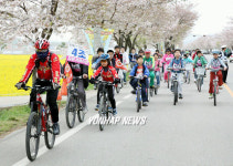 자전거로 달리는 벚꽃길