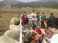 평창 의야지마을 체험 인기