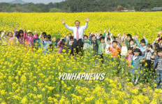 황토현 동학기념관 앞 유채꽃 만개