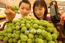 매실로 건강한 여름 보내세요!