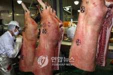 (주)육일산업 원마트 | ▶유망산업현장◀ (44)탐라유통