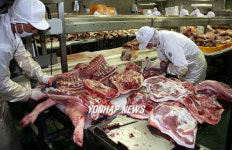 탐라유통 육가공공장 돼지 도축 작업