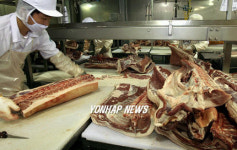 탐라유통 육가공공장 돼지 도축 작업