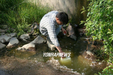 화성 하가등천 주변수질 악화