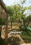 박지성 길 이은 박지성 공원