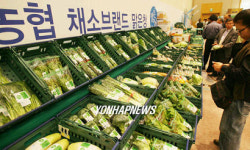 강원산 청정농산물 설명회