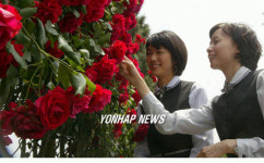 현대차 울산공장 장미의 거리