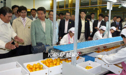 노대통령, 감귤유통센터 방문