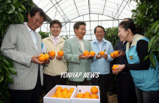 노대통령, 감귤 농가 현장방문