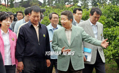 감귤재배 농민과 이야기하는 노무현 대통령