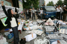 이천시청 앞 돼지 위령제