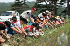 오리야, 풍년 농사를 부탁해