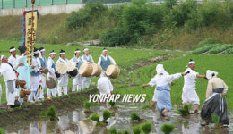 고성 농요 모심는 소리