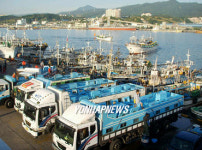 동해 묵호항 찾은 활어차