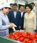 노대통령, 파프리카 농장 시찰