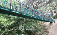 부산 금정산 옛 등산로 복원