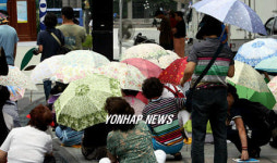 햇살 아래 양산들