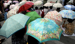 햇살 아래 양산들