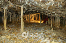 제주 화산섬.용암동굴 세계자연유산 등재(2보)