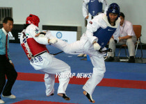 태권도 국가대표선수 선발대회