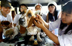 허그독, 반려동물과 함께 피서 떠나요