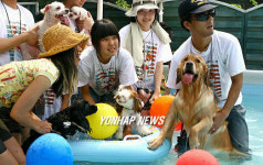 허그독, 반려동물과 함께 피서 떠나요