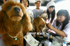 허그독, 반려동물과 함께 피서 떠나요