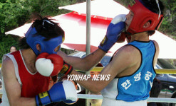 홍천 팔봉산 복싱대회