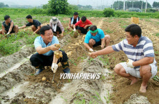 공군 18전비 감자는 사랑을 싣고