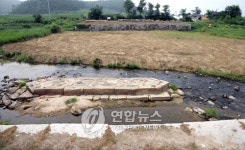 신라 왕궁 통로 `월정교 곧 복원