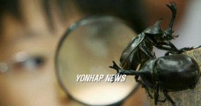 나는 미래의 파브르