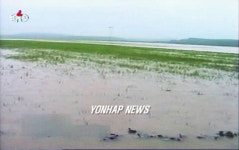 침수된 북한 최대 곡창지대 황해남도 농장