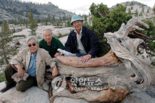 <미술老童 3인방 미 국립공원을 탐방하다>