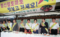 정선 찰토마토 맛있어요