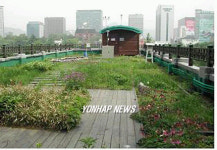 서울시청 별관 옥상녹화지 `초록뜰 모습