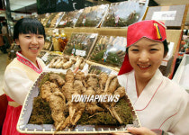 추석에 산더덕 선물하세요
