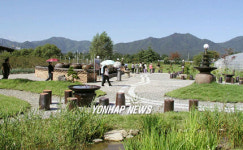 양평 두물머리 연꽃단지 세미원