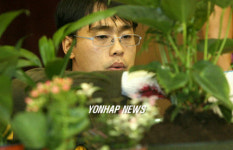 식물을 대하는 마음