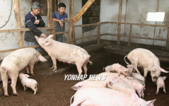 <고려인 강제이주 70년>(8)재정착과 국적회복-세르게이 김씨 형제