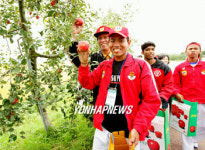 외국 무술인 사과따기 체험행사