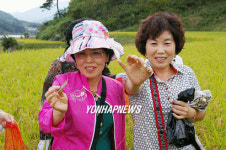 산청 차황서 메뚜기잡았어요