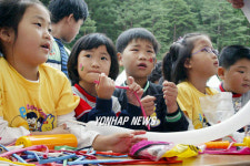 태백과학 싹 잔치 인기 짱