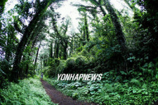 아름다운 숲 전국대상에  제주도 한경면 저지오름