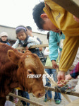 소야 한번만 먹어봐