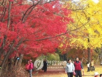 억새.단풍놀이 떠나볼까?