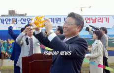 울산 노사안정.산업평화 기원 범시민 연날리기