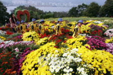 <미리 가본 마산 가고파 국화축제>