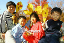낙엽 인형 어때요