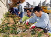 <환경정화수 심어 울산공단 쾌적하게..>
